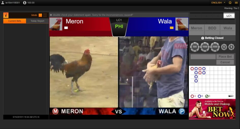 Top Provider Sabung Ayam
