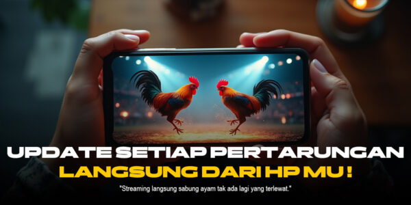 Mengenal Ayam Bangkok dan Peluang Menang di SV388
